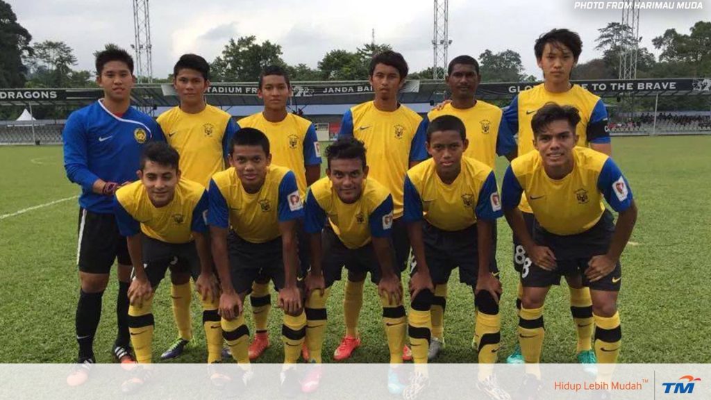 Idea Wujudkan Kembali Harimau Muda Disambut Baik