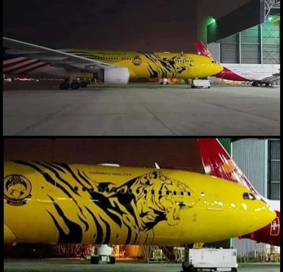 Media Indonesia Puji Malaysia Airlines Sediakan Pesawat Khusus Untuk Harimau Malaya