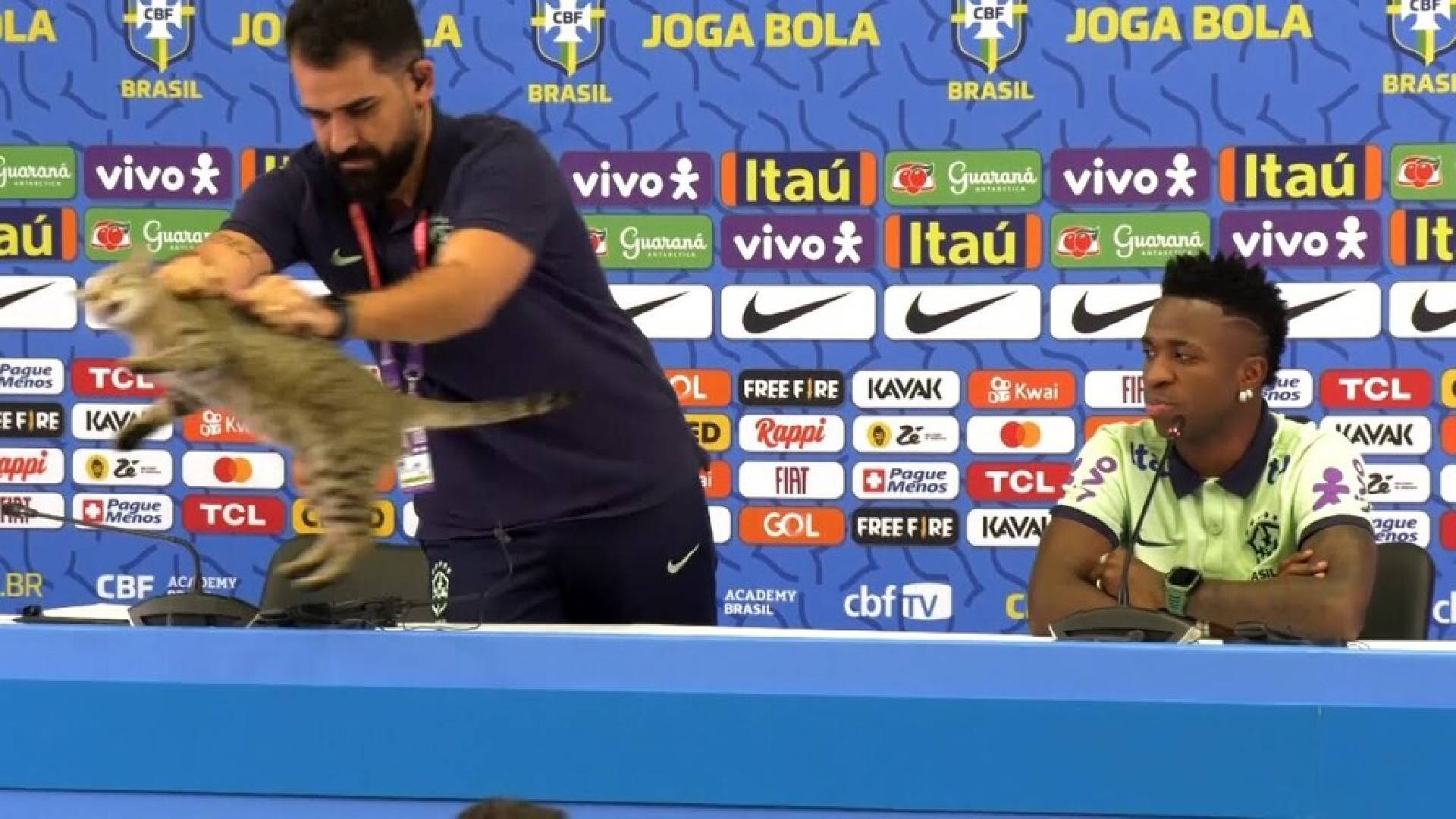 Vinicius Jr Brazil Piala Dunia 2022 Beanyman Sports Pegawai Media Brazil Campak Kucing Dari Sidang Media